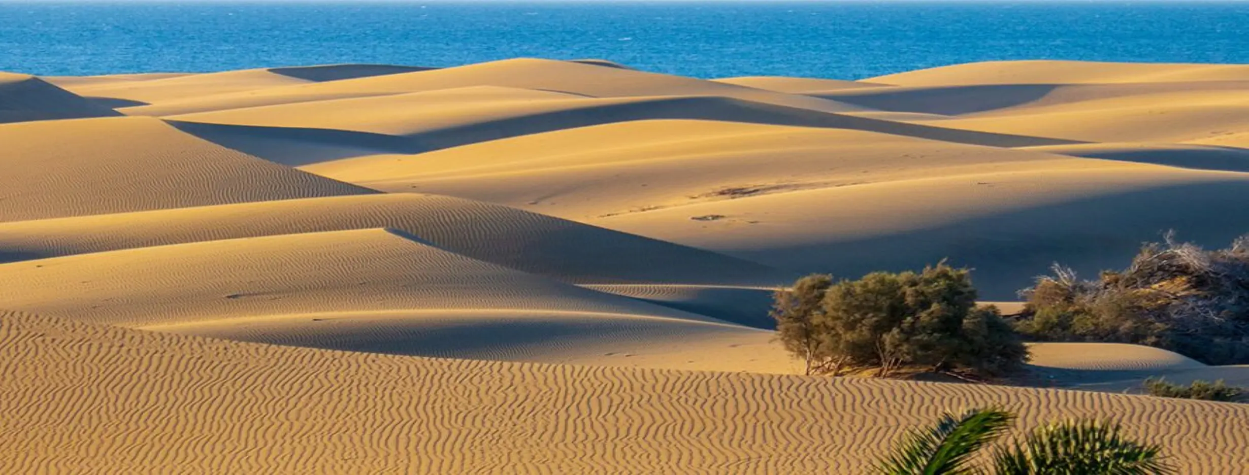 Image for Maspalomas Dunes